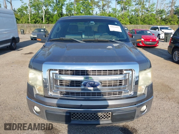 2013 Ford F-150 XL with VIN 1FTEX1CM9DFD23231, listed as a IAAI auction lot 42022012 with 220,971 mi miles. Bid and sale history available at carsss.com. Image 6.