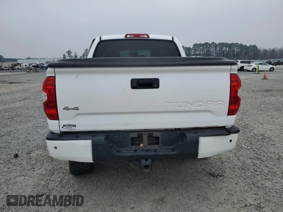2017 Toyota Tundra Platinum with VIN 5TFAW5F14HX625312, listed as a Copart auction lot 46787695 with 261,194 mi miles and Salvage title. Bid and sale history available at DreamBid. Image 6.