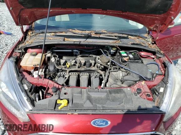 2015 Ford Focus SE with VIN 1FADP3K23FL381854, listed as a Copart auction lot 52241725 with 196,263 mi miles and Clean Title. Bid and sale history available at carsss.com. Image 11.