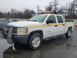 2010 Chevrolet Silverado 1500 1HY with VIN 3GCXKUEJ0AG216204, listed as a Copart auction lot 50546545 with 99,576 mi miles and Salvage Title. Bid and sale history available at DreamBid. Image 1.