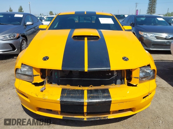 2007 Ford Mustang GT Deluxe with VIN 1ZVFT82H375255531, listed as a IAAI auction lot 42159077 with 158,223 mi miles. Bid and sale history available at carsss.com. Image 13.