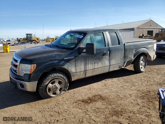 2014 Ford F-150 XL with VIN 1FTFX1EF3EKF61328, listed as a Copart auction lot 50174925 with 207,850 mi miles and Salvage Title. Bid and sale history available at carsss.com. Image 1.