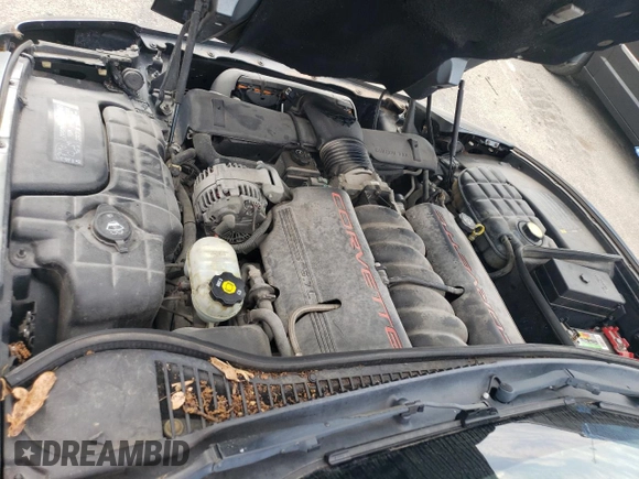 2004 Chevrolet Corvette with VIN 1G1YY22G845109017, listed as a Copart auction lot 75224994 with 125,172 mi miles and Salvage Title. Bid and sale history available at carsss.com. Image 11.