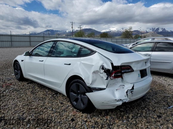 2023 Tesla Model 3 with VIN 5YJ3E1EA9PF569835, listed as a Copart auction lot 50876824 with 25,736 mi miles and Salvage Title. Bid and sale history available at DreamBid. Image 2.
