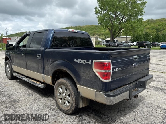 2014 Ford F-150 XL with VIN 1FTFW1ET9EFB16013, listed as a Copart auction lot 55620795 with 231,203 mi miles and Clean Title. Bid and sale history available at carsss.com. Image 3.