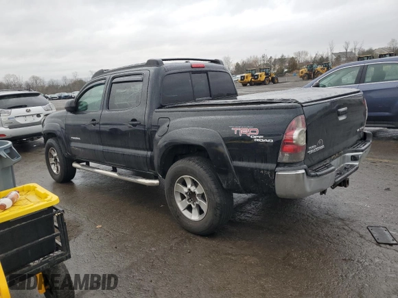 2009 Toyota Tacoma with VIN 3TMLU42N59M024127, listed as a Copart auction lot 51152195 with 213,513 mi miles and Salvage Title. Bid and sale history available at DreamBid. Image 2.