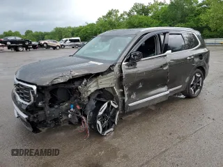2023 Kia Telluride S with VIN 5XYP6DGC9PG343463, listed as a Copart auction lot 57703005 with 124,966 mi miles and Salvage title. Bid and sale history available at DreamBid. Image 1.