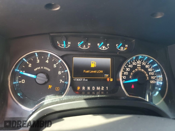 2013 Ford F-150 XL with VIN 1FTMF1CM1DFD63978, listed as a Copart auction lot 52976295 with 173,007 mi miles and Salvage title. Bid and sale history available at DreamBid. Image 9.