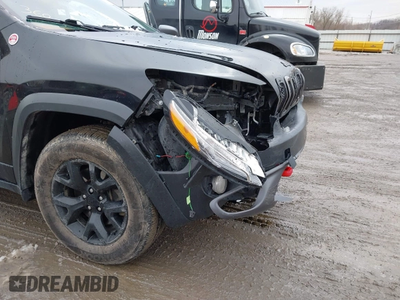 2016 Jeep Cherokee Trailhawk with VIN 1C4PJMBS6GW113069, listed as a IAAI auction lot 41757725 with 125,029 mi miles. Bid and sale history available at carsss.com. Image 6.