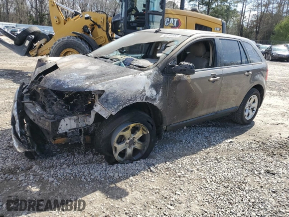 2014 Ford Edge SEL with VIN 2FMDK3JC2EBA34254, listed as a Copart auction lot 48194355 with Not Provided miles and Salvage Title. Bid and sale history available at carsss.com. Image 1.