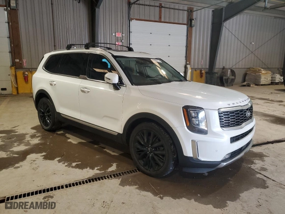 2020 Kia Telluride SX with VIN 5XYP5DHC8LG030626, listed as a Copart auction lot 45863775 with 85,003 mi miles and Salvage Title. Bid and sale history available at carsss.com. Image 4.