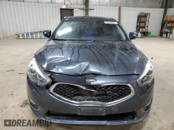 2014 Kia Cadenza Premium with VIN KNALN4D70E5124466, listed as a Copart auction lot 82614644 with 175,296 mi miles and Salvage Title. Bid and sale history available at carsss.com. Image 5.