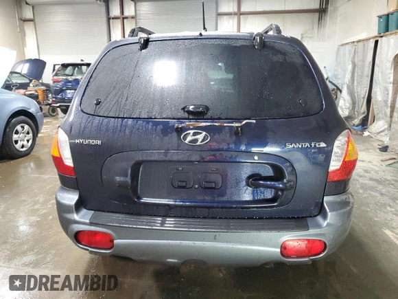 2004 Hyundai Santa Fe with VIN KM8SB12B84U832879, listed as a Copart auction lot 43622825 with 194,945 mi miles and Salvage Title. Bid and sale history available at carsss.com. Image 6.