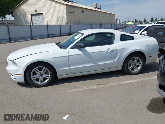 2014 Ford Mustang V6 with VIN 1ZVBP8AMXE5245688, listed as a IAAI auction lot 42074539 with 146,028 mi miles. Bid and sale history available at carsss.com. Image 14.