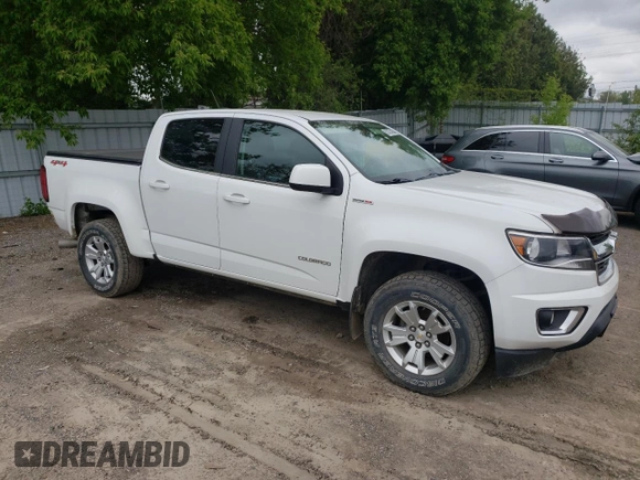 2018 Chevrolet Colorado 4WD LT with VIN 1GCPTCE15J1326817, listed as a Copart auction lot 57377435 with 143,962 mi miles and Salvage title. Bid and sale history available at DreamBid. Image 4.