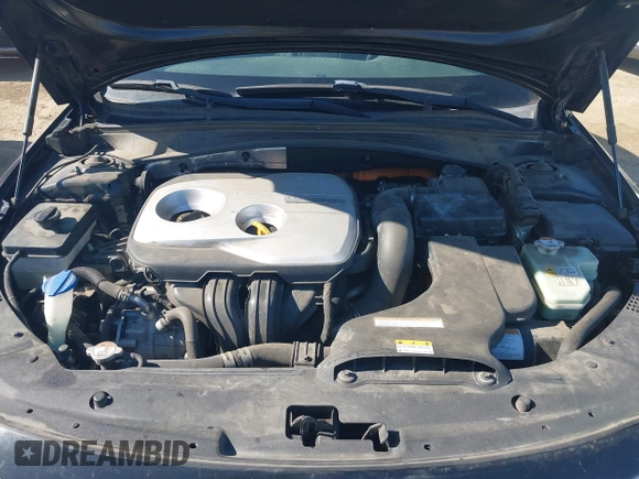 2017 Kia Optima with VIN KNAGT4LE3H5012000, listed as a IAAI auction lot 42688658 with 162,137 mi miles and . Bid and sale history available at DreamBid. Image 10.