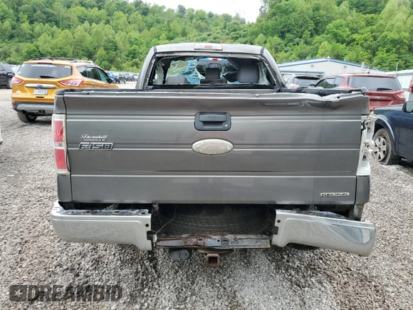 2012 Ford F-150 XL with VIN 1FTMF1EM0CFB22909, listed as a Copart auction lot 55887475 with 154,966 mi miles and Salvage title. Bid and sale history available at DreamBid. Image 10.
