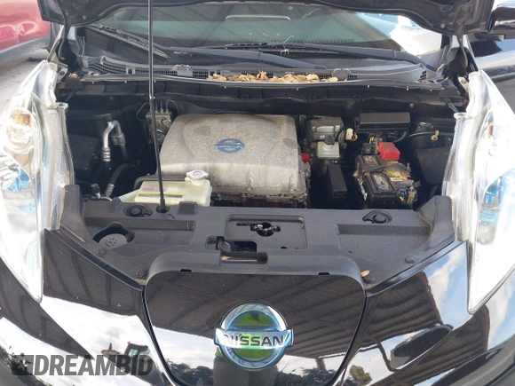 2013 Nissan LEAF SV with VIN 1N4AZ0CP5DC423797, listed as a IAAI auction lot 42097383 with Not provided miles and . Bid and sale history available at DreamBid. Image 10.