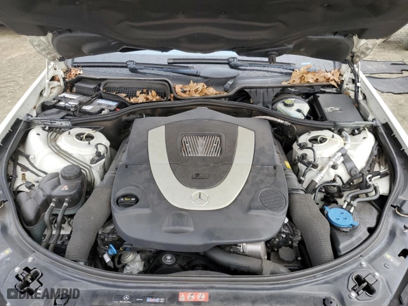 2009 Mercedes-Benz S-Class 5.5L V8 with VIN WDDNG71X59A245895, listed as a Copart auction lot 44046305 with 126,026 mi miles and Salvage Title. Bid and sale history available at carsss.com. Image 12.