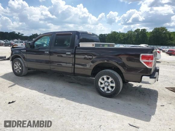 2013 Ford F-150 XL with VIN 1FTFW1EF1DFB70494, listed as a Copart auction lot 61549945 with 124,216 mi miles and Salvage title. Bid and sale history available at DreamBid. Image 2.