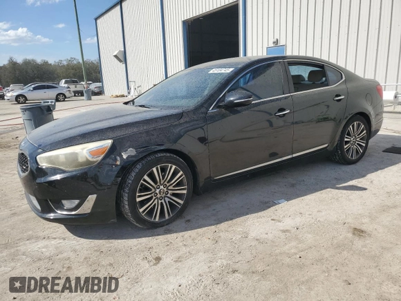 2014 Kia Cadenza Premium with VIN KNALN4D79E5120531, listed as a Copart auction lot 45104745 with Not Provided miles and Salvage Title. Bid and sale history available at DreamBid. Image 1.