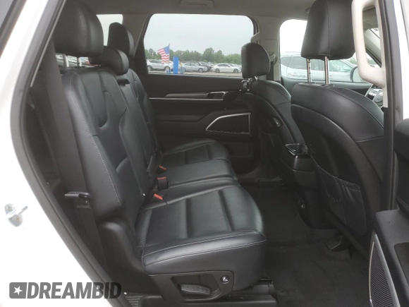 2020 Kia Telluride LX с VIN 5XYP2DHC0LG029012, выставлен на аукционе Copart как лот 61006985 с пробегом 98 025 миль миль и Списание • Salvage title. История ставок и продаж доступна на DreamBid. Изображение 11.