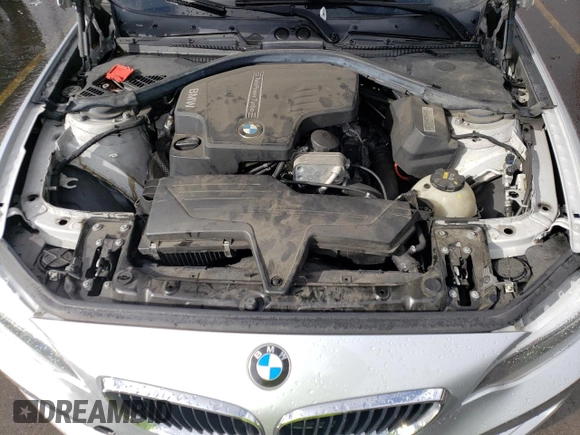 2015 BMW 2 Series 228i with VIN WBA1F5C57FV256927, listed as a Copart auction lot 41628804 with 125,695 mi miles. Bid and sale history available at carsss.com. Image 11.