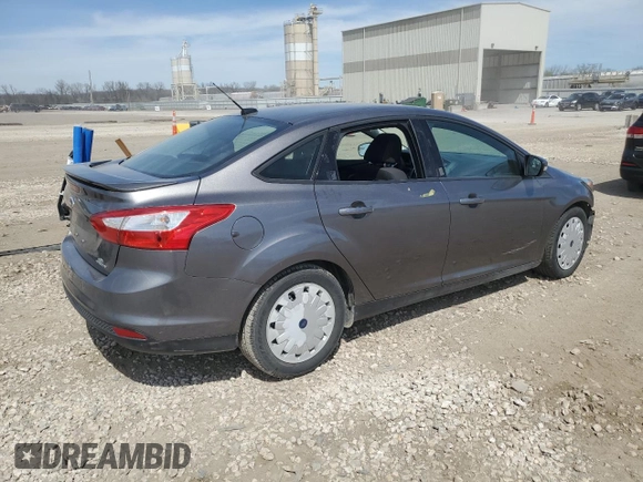 2014 Ford Focus SE with VIN 1FADP3F29EL224208, listed as a Copart auction lot 49987544 with 99,375 mi miles and Salvage Title. Bid and sale history available at carsss.com. Image 3.