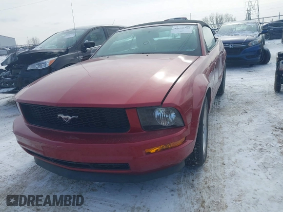 2008 Ford Mustang Deluxe with VIN 1ZVHT84NX85170490, listed as a IAAI auction lot 41608708 with 153,081 mi miles and . Bid and sale history available at carsss.com. Image 2.
