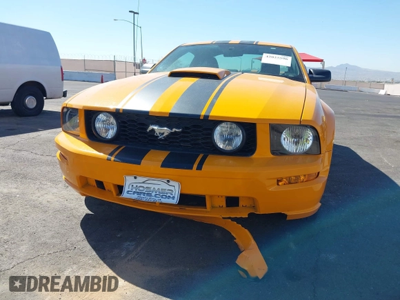 2008 Ford Mustang GT Deluxe with VIN 1ZVHT82H985189609, listed as a IAAI auction lot 42025596 with Not Provided miles and . Bid and sale history available at carsss.com. Image 6.