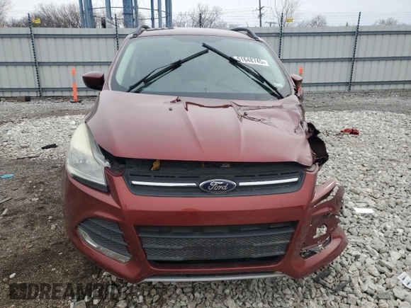 2014 Ford Escape SE with VIN 1FMCU0GX1EUB79696, listed as a Copart auction lot 51648745 with Not Provided miles and Salvage Title. Bid and sale history available at carsss.com. Image 5.