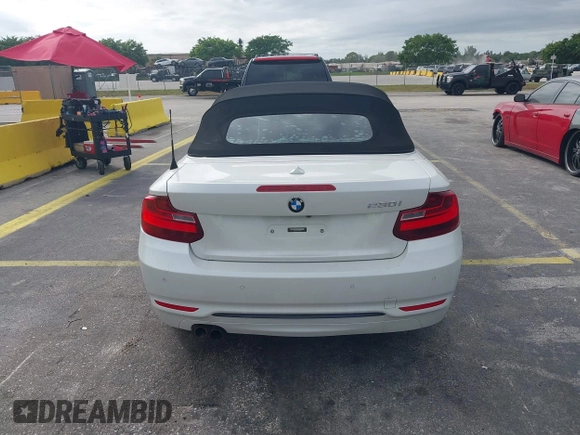 2017 BMW 2 Series 230i with VIN WBA2K9C38HV950695, listed as a IAAI auction lot 41610243 with 102,191 mi miles and . Bid and sale history available at DreamBid. Image 16.