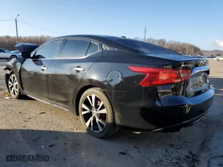 2017 Nissan Maxima SL with VIN 1N4AA6AP8HC444565, listed as a Copart auction lot 49384065 with 81,577 mi miles and Salvage Title. Bid and sale history available at carsss.com. Image 2.