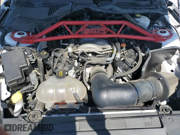 2019 Ford Mustang GT with VIN 1FA6P8CF0K5166163, listed as a Copart auction lot 51006725 with 34,748 mi miles and Salvage title. Bid and sale history available at DreamBid. Image 12.