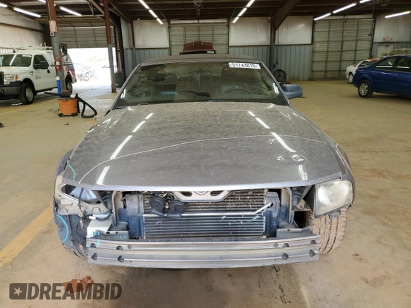 2006 Ford Mustang Standard with VIN 1ZVHT84N165144471, listed as a Copart auction lot 51743815 with 196,243 mi miles and Salvage Title. Bid and sale history available at carsss.com. Image 5.