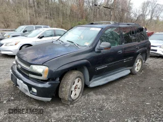 2002 Chevrolet TrailBlazer LS with VIN 1GNDT13S922463670, listed as a Copart auction lot 51736525 with 173,699 mi miles and Salvage Title. Bid and sale history available at DreamBid. Image 1.