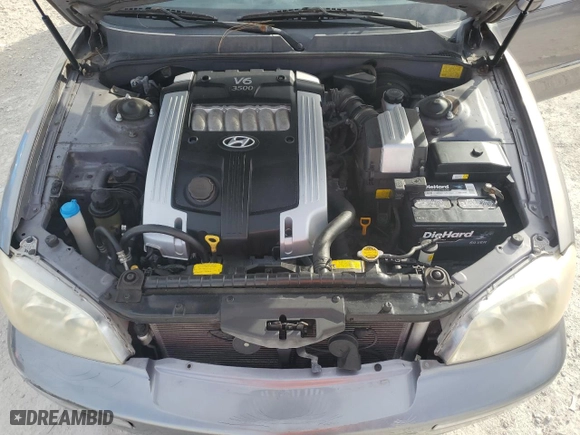 2005 Hyundai XG350 with VIN KMHFU45E65A411779, listed as a Copart auction lot 87405944 with 39,510 mi miles and Salvage Title. Bid and sale history available at carsss.com. Image 11.