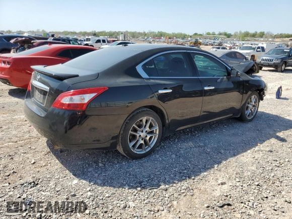 2011 Nissan Maxima SV with VIN 1N4AA5AP8BC800725, listed as a Copart auction lot 52021755 with Not Provided miles and Salvage Title. Bid and sale history available at DreamBid. Image 3.