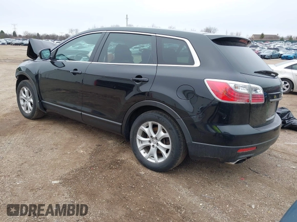 2012 Mazda CX-9 Touring with VIN JM3TB3CA7C0349505, listed as a IAAI auction lot 41971472 with 219,716 mi miles and . Bid and sale history available at DreamBid. Image 3.