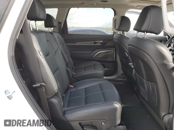 2024 Kia Telluride SX with VIN 5XYP54GC7RG427657, listed as a Copart auction lot 53308975 with Not provided miles and Salvage title. Bid and sale history available at DreamBid. Image 11.