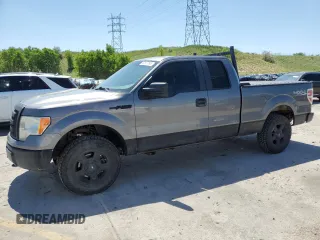 2009 Ford F-150 XL with VIN 1FTPX14V39FB18012, listed as a Copart auction lot 60127295 with 156,692 mi miles and Clean title. Bid and sale history available at DreamBid. Image 1.