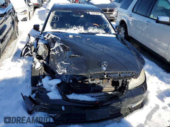 2010 Mercedes-Benz S 400 with VIN WDDNG9FB9AA310731, listed as a Copart auction lot 73375434 with 183,515 mi miles and Salvage Title. Bid and sale history available at DreamBid. Image 5.