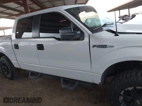 2013 Ford F-150 XL with VIN 1FTFW1EF5DFB99853, listed as a IAAI auction lot 42024669 with 113,013 mi miles. Bid and sale history available at carsss.com. Image 13.