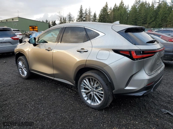2024 Lexus NX with VIN 2T2HKCEZ1RC025204, listed as a Copart auction lot 81629844 with 11,797 mi miles and Salvage Title. Bid and sale history available at carsss.com. Image 2.