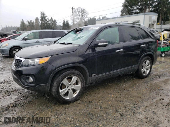 2013 Kia Sorento EX with VIN 5XYKUDA63DG351184, listed as a Copart auction lot 46623205 with 126,102 mi miles and Salvage Title. Bid and sale history available at carsss.com. Image 1.