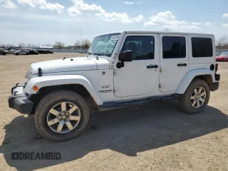 2017 Jeep Wrangler Unlimited Sahara with VIN 1C4BJWEG0HL680314, listed as a Copart auction lot 54223855 with 254,829 mi miles and Salvage title. Bid and sale history available at DreamBid. Image 1.