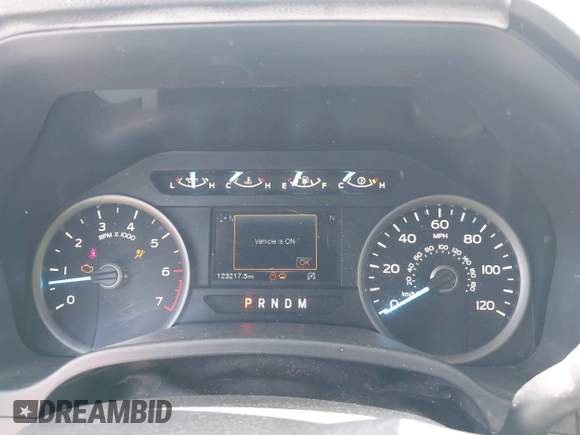 2019 Ford F-150 XL with VIN 1FTEW1C47KKE35050, listed as a IAAI auction lot 42684676 with 123,217 mi miles and . Bid and sale history available at DreamBid. Image 7.