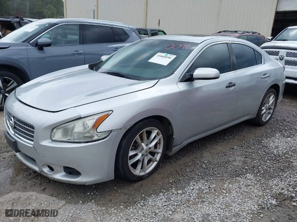2009 Nissan Maxima 3.5 SV w/Sport Pkg with VIN 1N4AA51E39C828666, listed as a IAAI auction lot 41660090 with 1 mi miles. Bid and sale history available at carsss.com. Image 2.