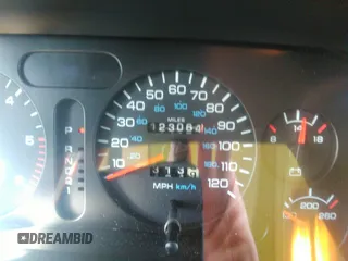 1997 Dodge 1500 with VIN 3B7HC13Z9VG759680, listed as a IAAI auction lot 41280933 with 123,064 mi miles and . Bid and sale history available at DreamBid. Image 7.