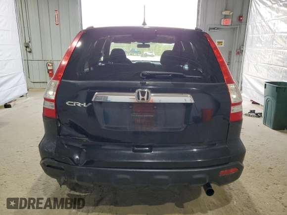 2009 Honda CR-V EX with VIN 5J6RE48589L023967, listed as a Copart auction lot 54907455 with 123,310 mi miles and Clean Title. Bid and sale history available at DreamBid. Image 6.